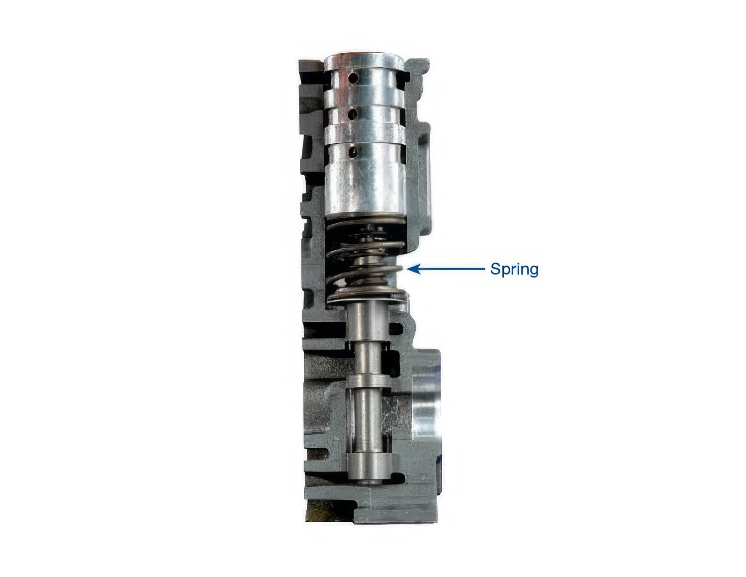 Sonnax Elevated Pressure Main Pressure Regulator Spring for 5R55E - 56947-17