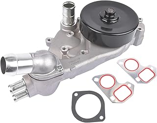 C6 Pump 1966-1996 89018052 OEM