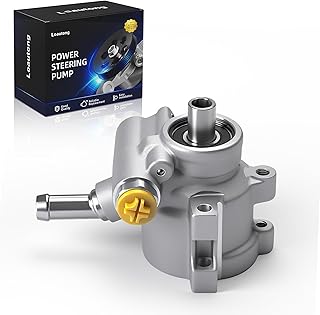 C6 Pump 1966-1996 20822 OEM