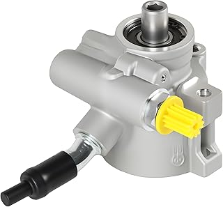 C6 Pump 1966-1996 25960709 OEM