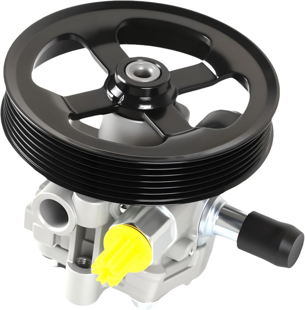 C6 Pump 1966-1996 25960709 OEM - image 4