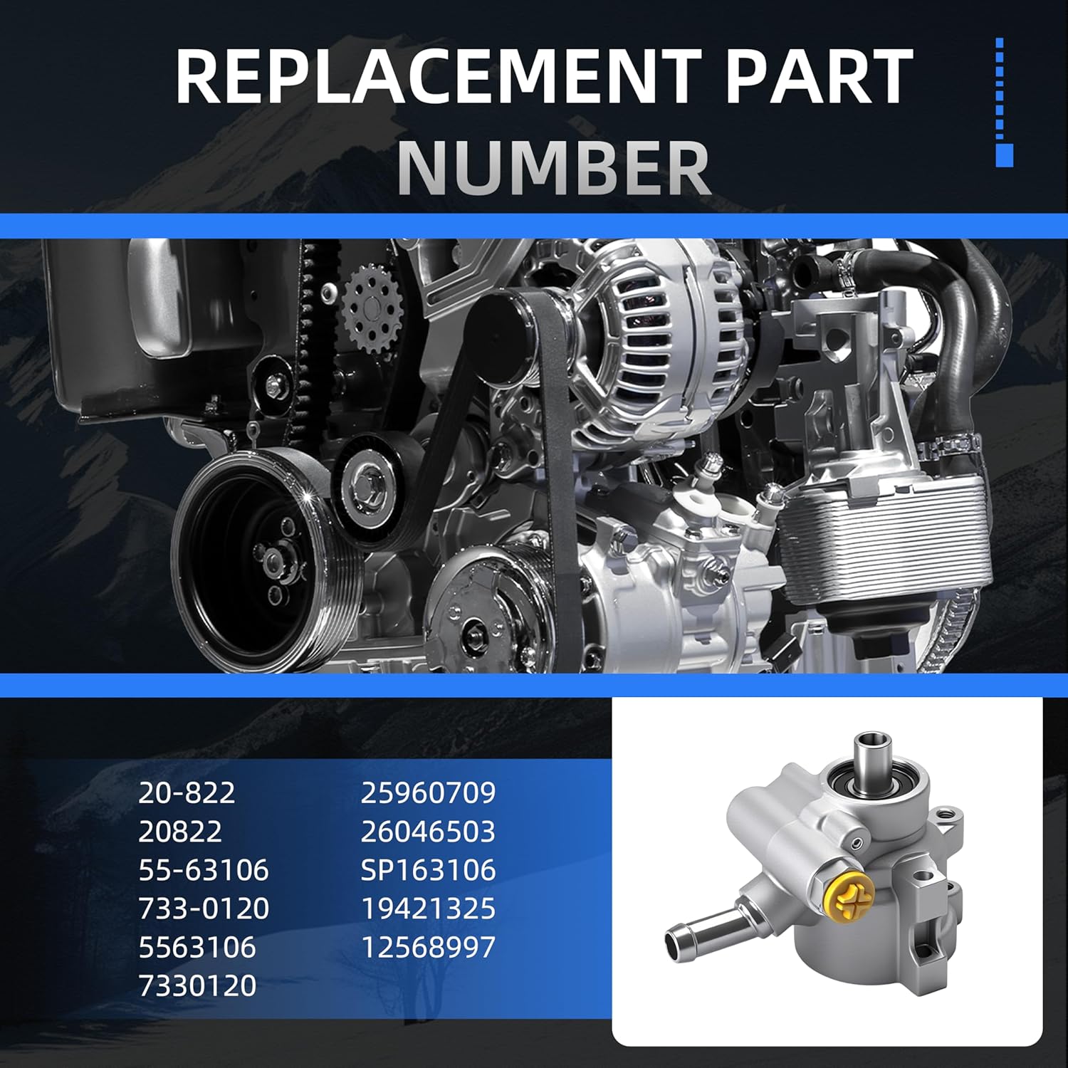 C6 Pump 1966-1996 20822 OEM - image 3