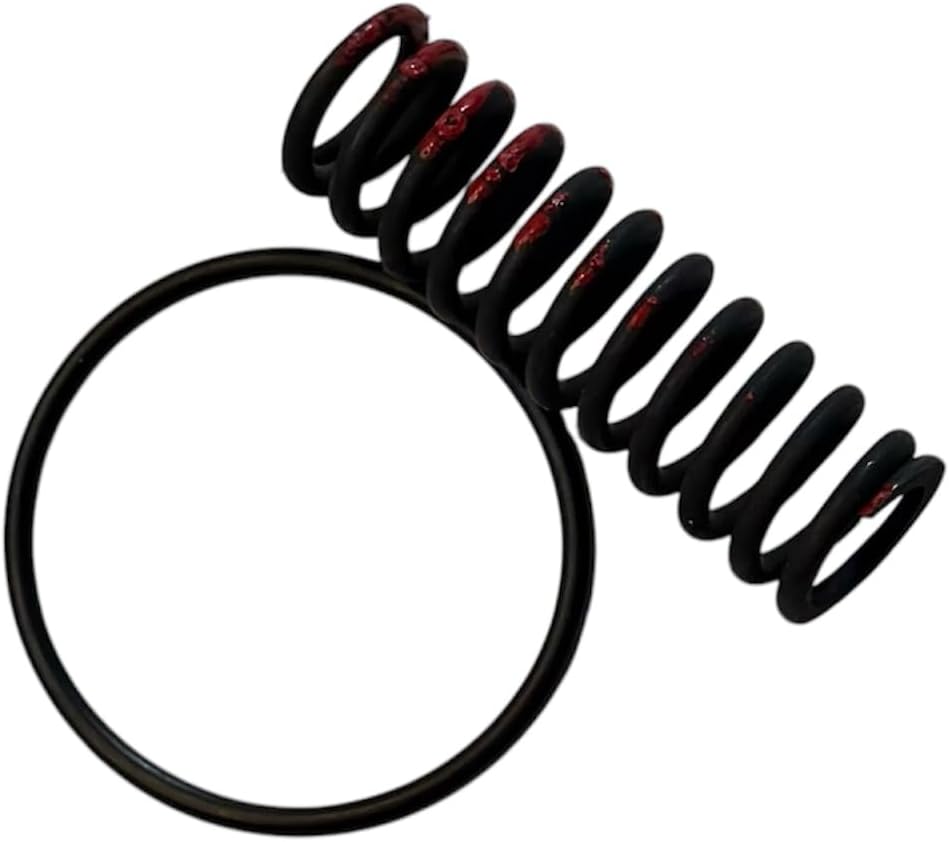 th350 Accumulator Spring and O-Ring 1969-Up OEM